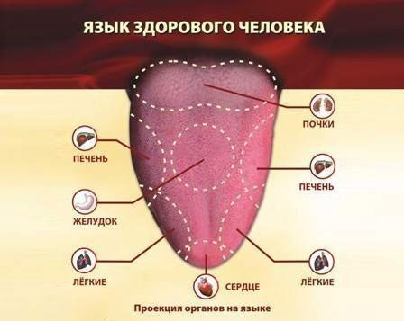 Причины белого налета на языке и запах изо рта