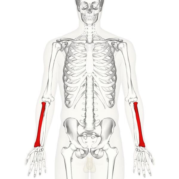 bokaízület artrózisa 3 fokos kezelés a könyökízület deformációja, hogyan kell kezelni