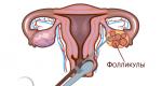 Implantacija embrija nakon IVF transfera