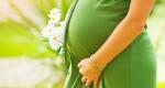 Illóolajok és aromaterápia terhesség alatt: utazás az aromák országába
